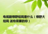 電視劇綠野結(jié)局是什么（綠野大結(jié)局 送給需要的你）