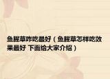 魚腥草咋吃最好（魚腥草怎樣吃效果最好 下面給大家介紹）