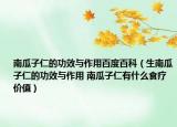 南瓜子仁的功效與作用百度百科（生南瓜子仁的功效與作用 南瓜子仁有什么食療價值）