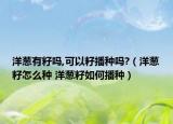 洋蔥有籽嗎,可以籽播種嗎?（洋蔥籽怎么種 洋蔥籽如何播種）