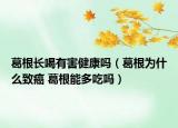 葛根長(zhǎng)喝有害健康嗎（葛根為什么致癌 葛根能多吃嗎）