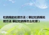 杜鵑根的處理方法（草缸杜鵑根處理方法 草缸杜鵑根怎么處理）
