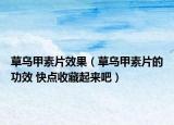 草烏甲素片效果（草烏甲素片的功效 快點收藏起來吧）
