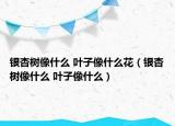 銀杏樹像什么 葉子像什么花（銀杏樹像什么 葉子像什么）