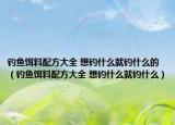 釣魚餌料配方大全 想釣什么就釣什么的（釣魚餌料配方大全 想釣什么就釣什么）