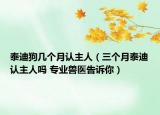 泰迪狗幾個月認主人（三個月泰迪認主人嗎 專業(yè)獸醫(yī)告訴你）
