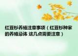 紅豆杉養(yǎng)殖注意事項(xiàng)（紅豆杉種家的養(yǎng)殖忌諱 這幾點(diǎn)需要注意）