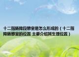 十二指腸降段憩室是怎么形成的（十二指降腸憩室的位置 主要介紹其生理位置）