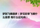 夢(mèng)到飛蛾很多（夢(mèng)見(jiàn)好多飛蛾什么意思 有什么征兆嗎）