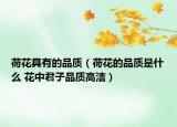 荷花具有的品質(zhì)（荷花的品質(zhì)是什么 花中君子品質(zhì)高潔）