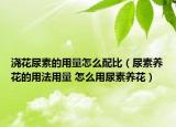 澆花尿素的用量怎么配比（尿素養(yǎng)花的用法用量 怎么用尿素養(yǎng)花）