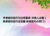 冬季夜釣技巧與注意事項(xiàng)_釣魚人必看（秋季夜釣技巧全攻略 秋季夜釣小竅門）