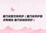 康乃馨要怎樣養(yǎng)護(hù)（康乃馨養(yǎng)護(hù)要點(diǎn)有哪些 康乃馨如何養(yǎng)護(hù)）