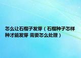 怎么讓石榴子發(fā)芽（石榴種子怎樣種才能發(fā)芽 需要怎么處理）
