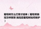 葡萄樹怎么打理才結(jié)果（葡萄菜摘完怎樣管理 摘完后葡萄樹如何維護）