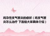 雞急性支氣管炎的癥狀（雞支氣管炎怎么治療 下面給大家具體介紹）
