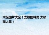 太極圖片大全（太極圖種類 太極圖大集）