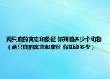 兩只鹿的寓意和象征 你知道多少個動物（兩只鹿的寓意和象征 你知道多少）