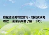 粉花繡線菊功效作用（粉花繡線菊功效 一起來簡單的了解一下吧）