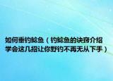 如何垂釣鯰魚（釣鯰魚的訣竅介紹 學(xué)會這幾招讓你野釣不再無從下手）