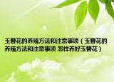 玉簪花的養(yǎng)殖方法和注意事項(xiàng)（玉簪花的養(yǎng)殖方法和注意事項(xiàng) 怎樣養(yǎng)好玉簪花）