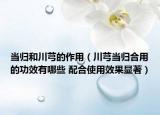 當歸和川芎的作用（川芎當歸合用的功效有哪些 配合使用效果顯著）