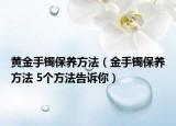 黃金手鐲保養(yǎng)方法（金手鐲保養(yǎng)方法 5個(gè)方法告訴你）