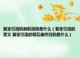 裂變引流機(jī)制的流程是什么（裂變引流的意義 裂變引流的背后最終目的是什么）