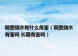 銅壺?zé)惺裁次：Γㄣ~壺?zé)泻?長期有害嗎）