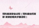 飼料桑發(fā)酵全過程（飼料桑如何發(fā)酵 發(fā)酵的相關(guān)步驟流程）