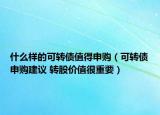 什么樣的可轉(zhuǎn)債值得申購(gòu)（可轉(zhuǎn)債申購(gòu)建議 轉(zhuǎn)股價(jià)值很重要）