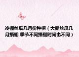 冷棚絲瓜幾月份種植（大棚絲瓜幾月捂棚 季節(jié)不同捂棚時間也不同）