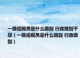 一級巡視員是什么級別 行政級別干部（一級巡視員是什么級別 行政級別）