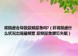 腎陰虛會導(dǎo)致尿頻尿急嗎?（肝腎陰虛什么狀況出現(xiàn)最頻繁 尿頻尿急健忘失眠）