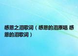 感恩之淚歌詞（感恩的淚原唱 感恩的淚歌詞）