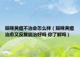 貓咪黃疸不治會怎么樣（貓咪黃疸治愈又反復能治好嗎 你了解嗎）
