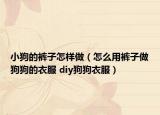 小狗的褲子怎樣做（怎么用褲子做狗狗的衣服 diy狗狗衣服）