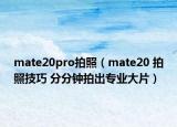 mate20pro拍照（mate20 拍照技巧 分分鐘拍出專(zhuān)業(yè)大片）