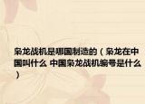 梟龍戰(zhàn)機(jī)是哪國(guó)制造的（梟龍?jiān)谥袊?guó)叫什么 中國(guó)梟龍戰(zhàn)機(jī)編號(hào)是什么）