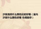 沙發(fā)選擇什么顏色比較好看（室內(nèi)沙發(fā)什么顏色好看 色調(diào)推薦）