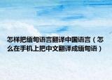 怎樣把緬甸語言翻譯中國語言（怎么在手機上把中文翻譯成緬甸語）