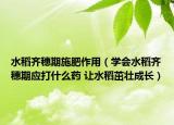 水稻齊穗期施肥作用（學(xué)會(huì)水稻齊穗期應(yīng)打什么藥 讓水稻茁壯成長(zhǎng)）