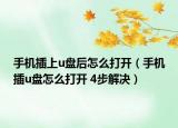 手機(jī)插上u盤后怎么打開（手機(jī)插u盤怎么打開 4步解決）