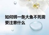 如何綁一條大魚(yú)不死需要注意什么