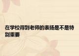 在學(xué)校得到老師的表?yè)P(yáng)是不是特別重要
