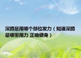 深蹲是用哪個部位發(fā)力（知道深蹲是哪里用力 正確健身）