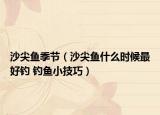 沙尖魚(yú)季節(jié)（沙尖魚(yú)什么時(shí)候最好釣 釣魚(yú)小技巧）