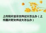 上傳照片顯示文件過大怎么辦（上傳圖片時文件過大怎么辦）
