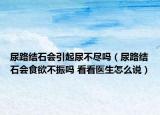 尿路結(jié)石會(huì)引起尿不盡嗎（尿路結(jié)石會(huì)食欲不振嗎 看看醫(yī)生怎么說）