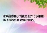 水果招惹的小飛蟲(chóng)怎么弄（水果招小飛蟲(chóng)怎么辦 教你小技巧）